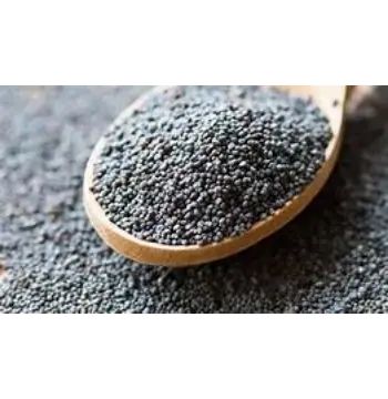 Fresh Black Mustard Seeds